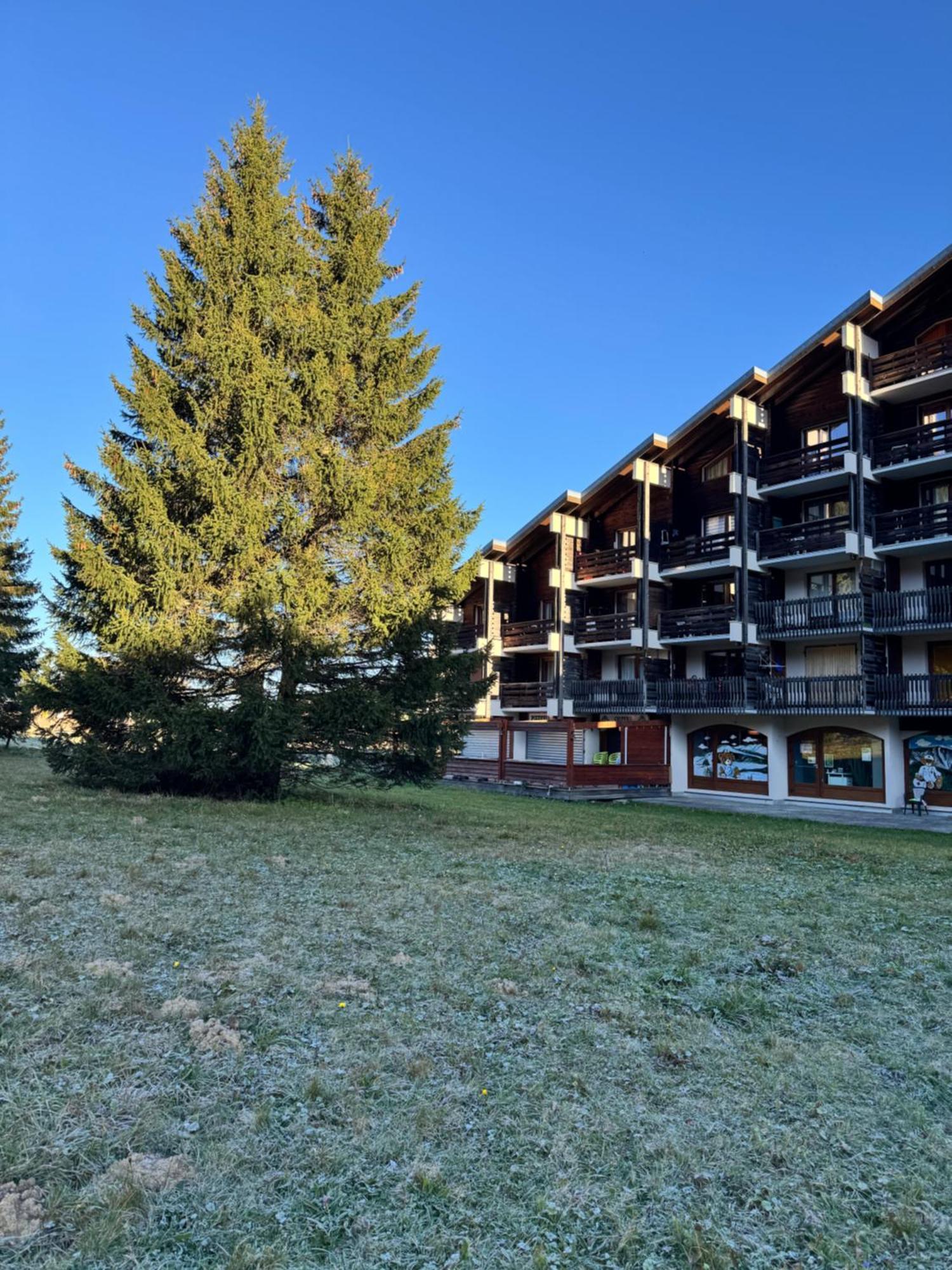 Superbe Studio De Montagne, Au Pied Des Pistes De Ski, Classe 3 Etoiles La Morte Ngoại thất bức ảnh